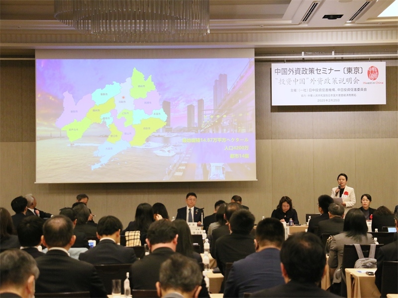 地方代表進行專題投資推介。人民網(wǎng) 許可攝