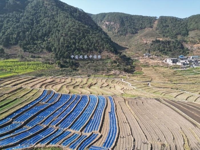 △近日，四川涼山一現(xiàn)代農(nóng)業(yè)園春耕育秧搶農(nóng)時。