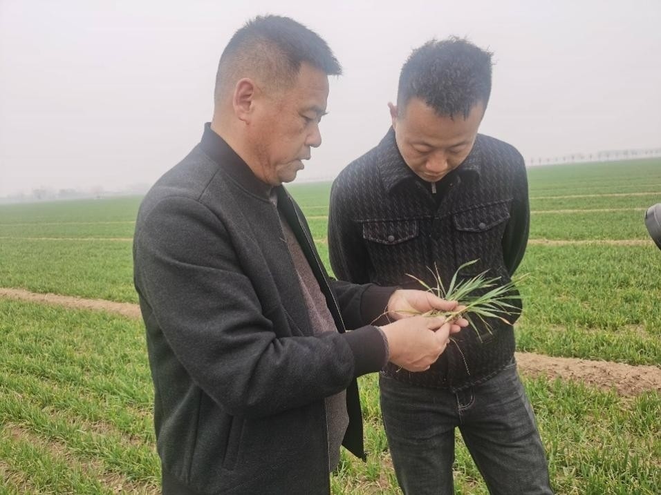 在山東濟寧汶上縣苑莊鎮(zhèn)，農(nóng)技員黃海龍對種糧大戶王振現(xiàn)場進行春耕指導(dǎo)。人民網(wǎng)記者 車柯蒙攝
