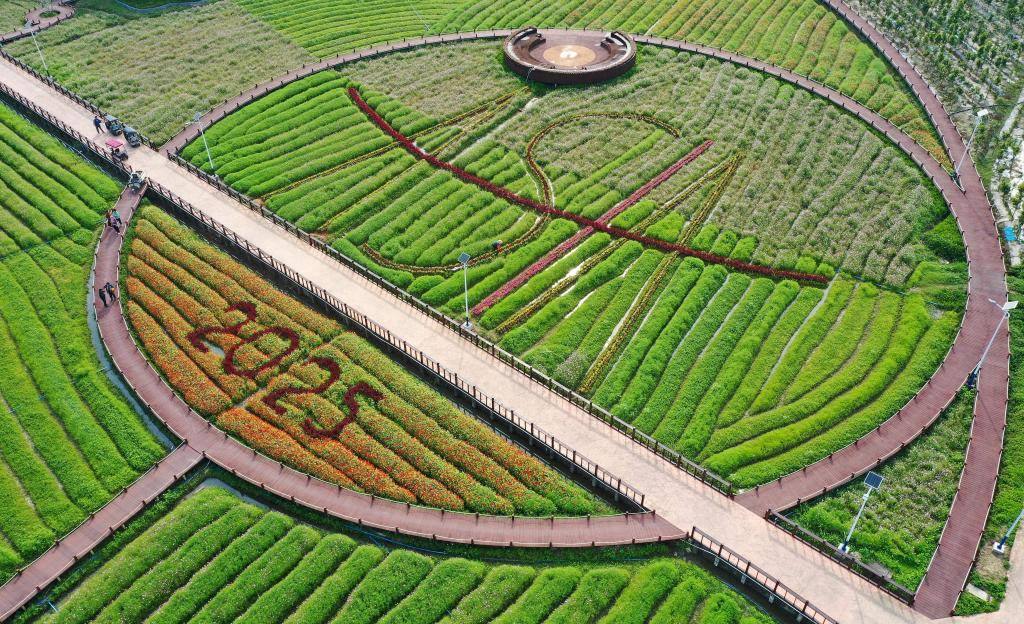 這是3月21日拍攝的瓊海博鰲南強(qiáng)村景色（無人機(jī)照片）。新華社記者 郭程 攝