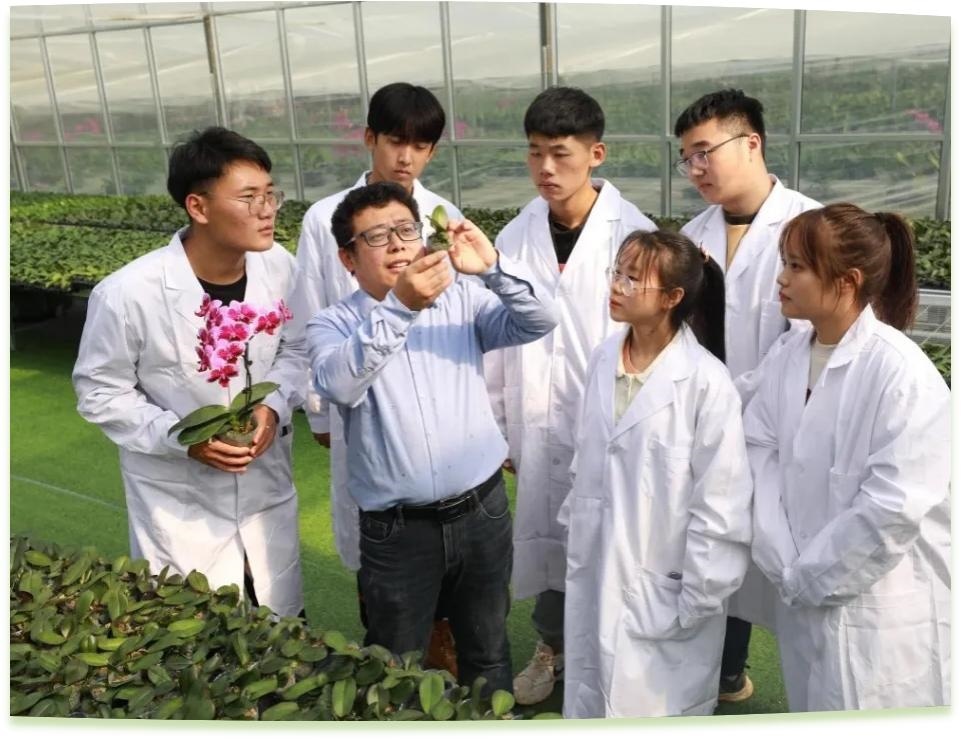 濰坊工程職業(yè)學(xué)院科技創(chuàng)新團(tuán)隊(duì)為花卉行業(yè)從業(yè)者作蝴蝶蘭雜交選育技術(shù)指導(dǎo)。學(xué)校供圖