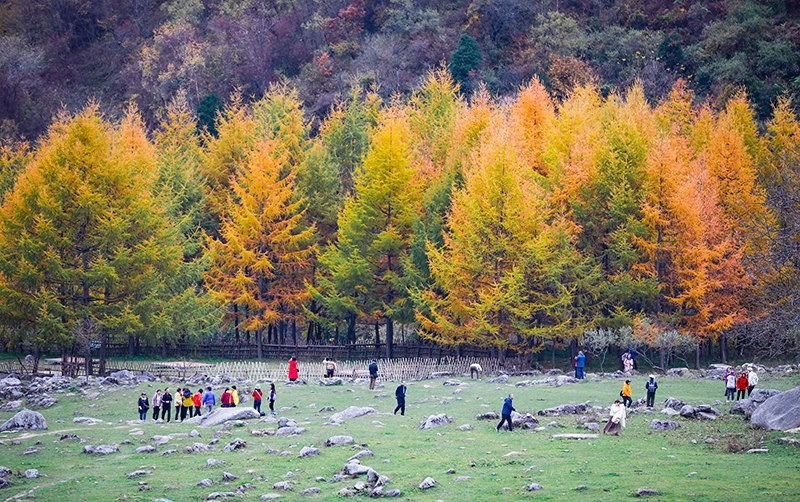 2023年10月27日，深秋時節(jié)的陜西秦嶺太子嶺五彩斑斕，進(jìn)入最佳觀賞期。