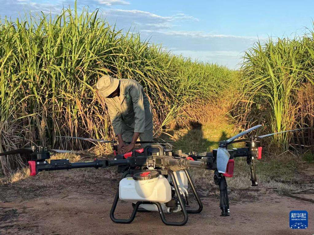 3月25日，在南非夸祖魯-納塔爾省的方廷希爾莊園，工作人員為無人機(jī)做起飛作業(yè)前的準(zhǔn)備。新華社記者 白舸 攝