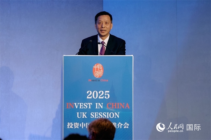 中國駐英國大使館經濟商務公使余本林發(fā)表致辭。楊浩鵬攝