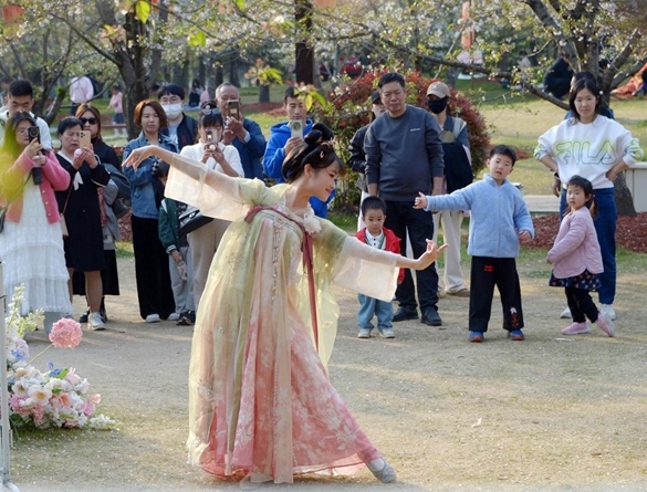 清明假期期間，上海顧村公園櫻花島上，游客在觀賞國(guó)風(fēng)漢服快閃表演。（圖片來(lái)源：視覺中國(guó)）