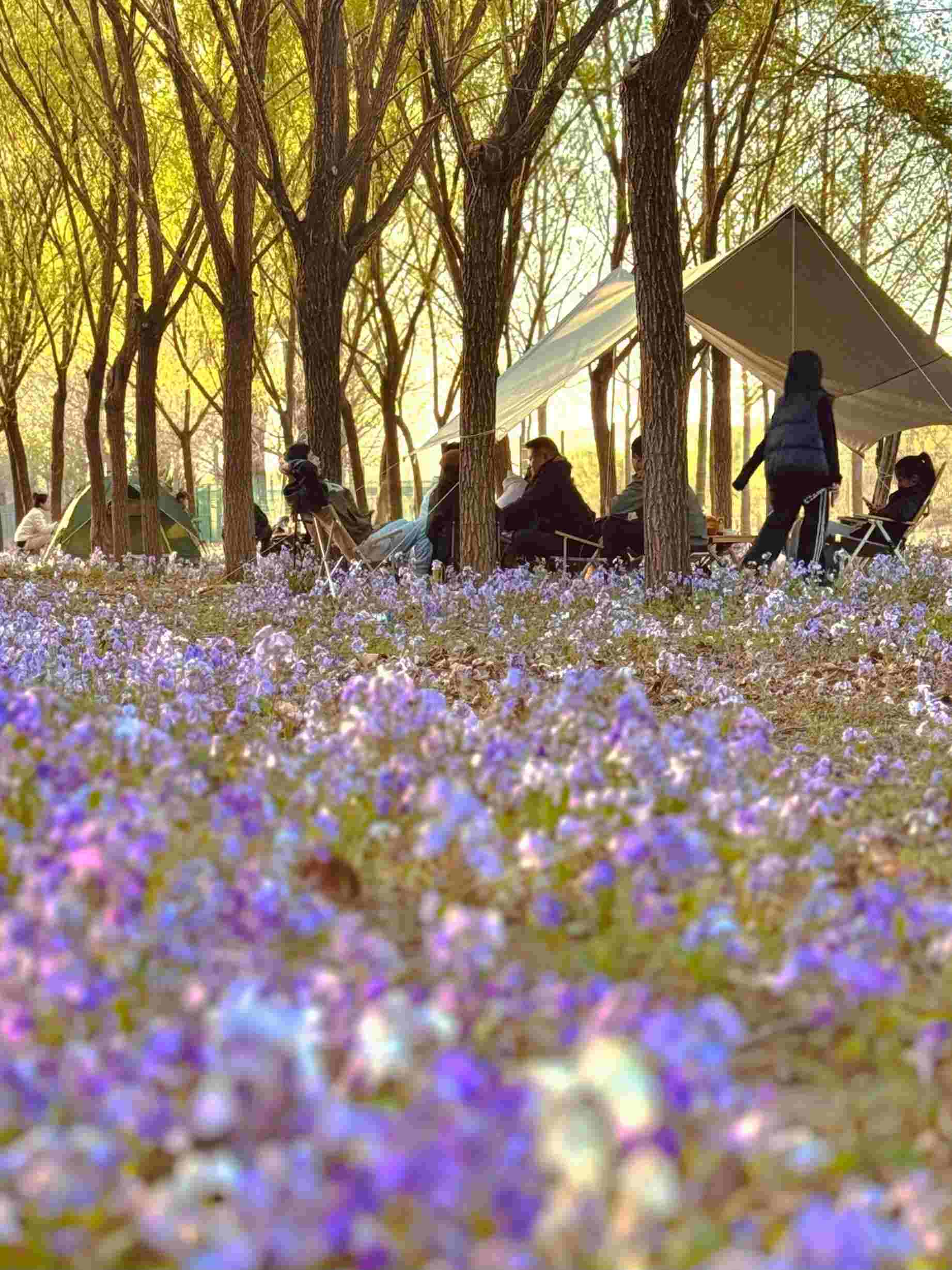 清明假期期間，范女士一家在北京溫榆河邊露營(yíng)。受訪者供圖