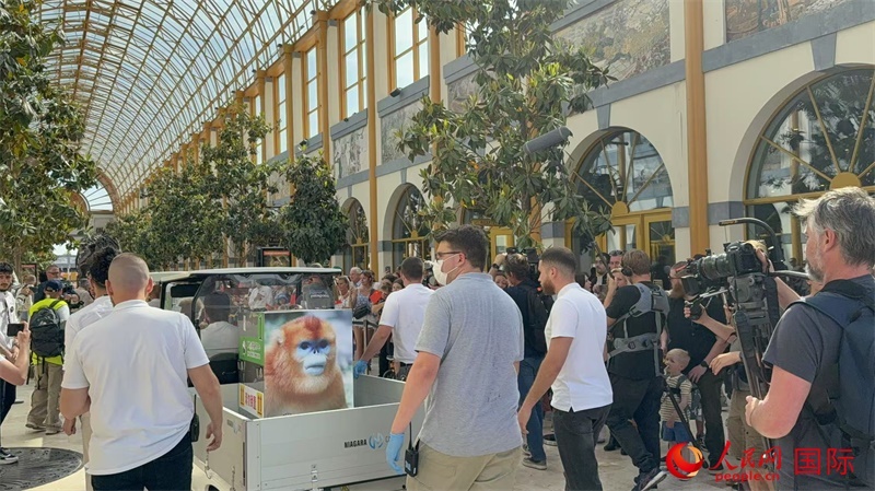 圖為活動(dòng)現(xiàn)場(chǎng)。人民網(wǎng)記者 牛瑞飛攝