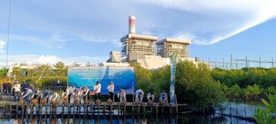 5月18日，中印尼嘉賓在爪哇7號燃煤電站舉行紅樹林補(bǔ)植儀式。記者 曹凱 攝