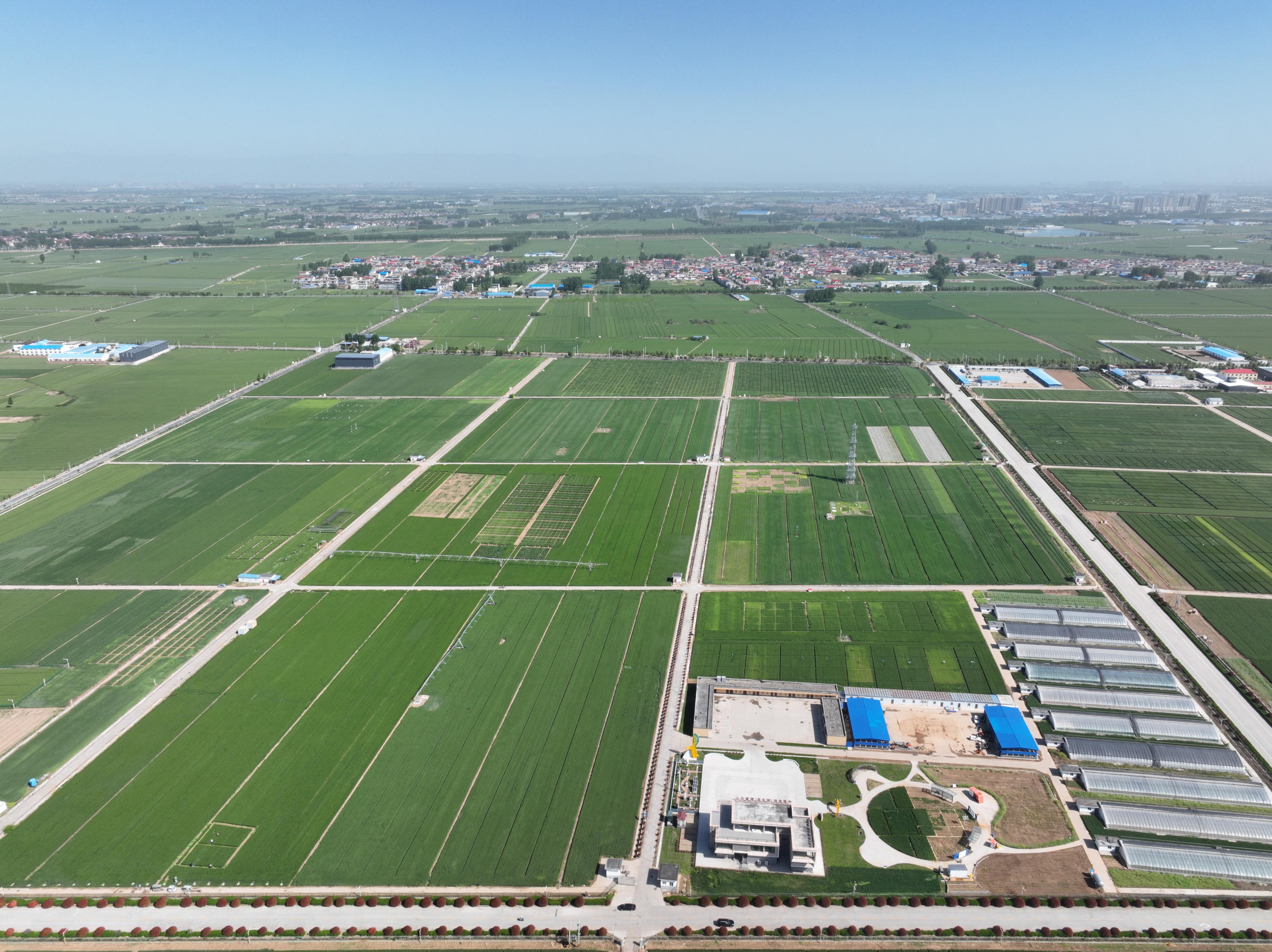 俯瞰水利部灌溉試驗(yàn)總站試驗(yàn)研究基地。受訪者供圖