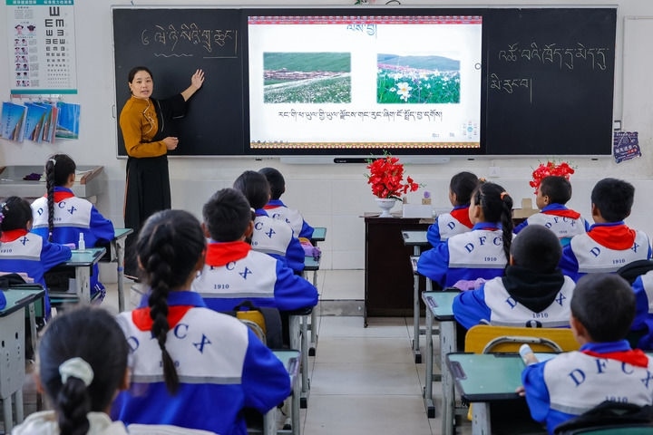 2024年9月27日，在四川省甘孜藏族自治州道孚縣城關(guān)第一完全小學(xué)，采取“藏加模式”教學(xué)的五年級(jí)一班的藏語文課上，準(zhǔn)木周老師指導(dǎo)藏族學(xué)生以家鄉(xiāng)草原風(fēng)物為主題寫作藏語文作文。新華社記者 沈伯韓 攝