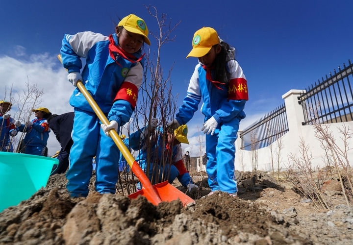 2025年4月25日，西藏那曲市小學(xué)生在植樹。新華社記者 晉美多吉 攝