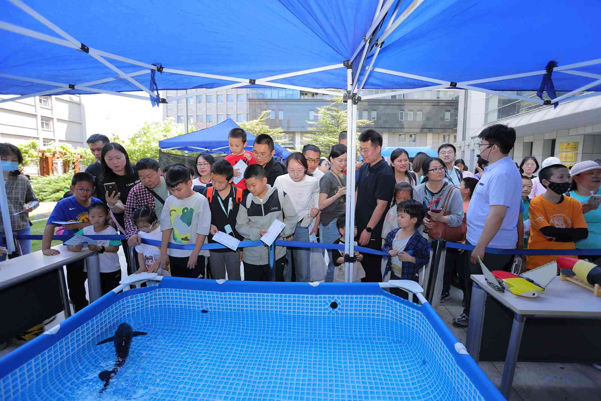 水下仿生機(jī)器魚在活動(dòng)現(xiàn)場大受歡迎。中國科學(xué)院自動(dòng)化研究所供圖